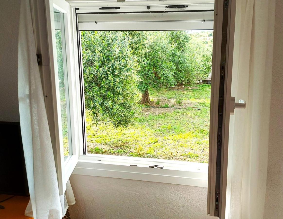 Agritourism Cottage Near Sitia Dış mekan fotoğraf