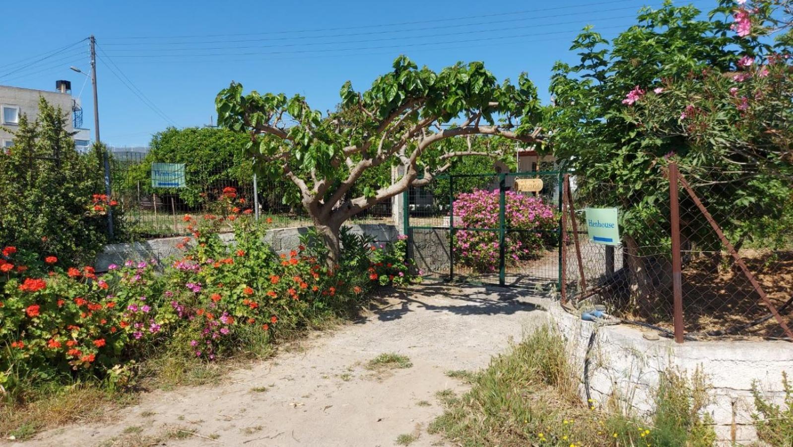 Agritourism Cottage Near Sitia Dış mekan fotoğraf